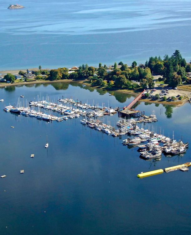 Deep Bay Marina arial view