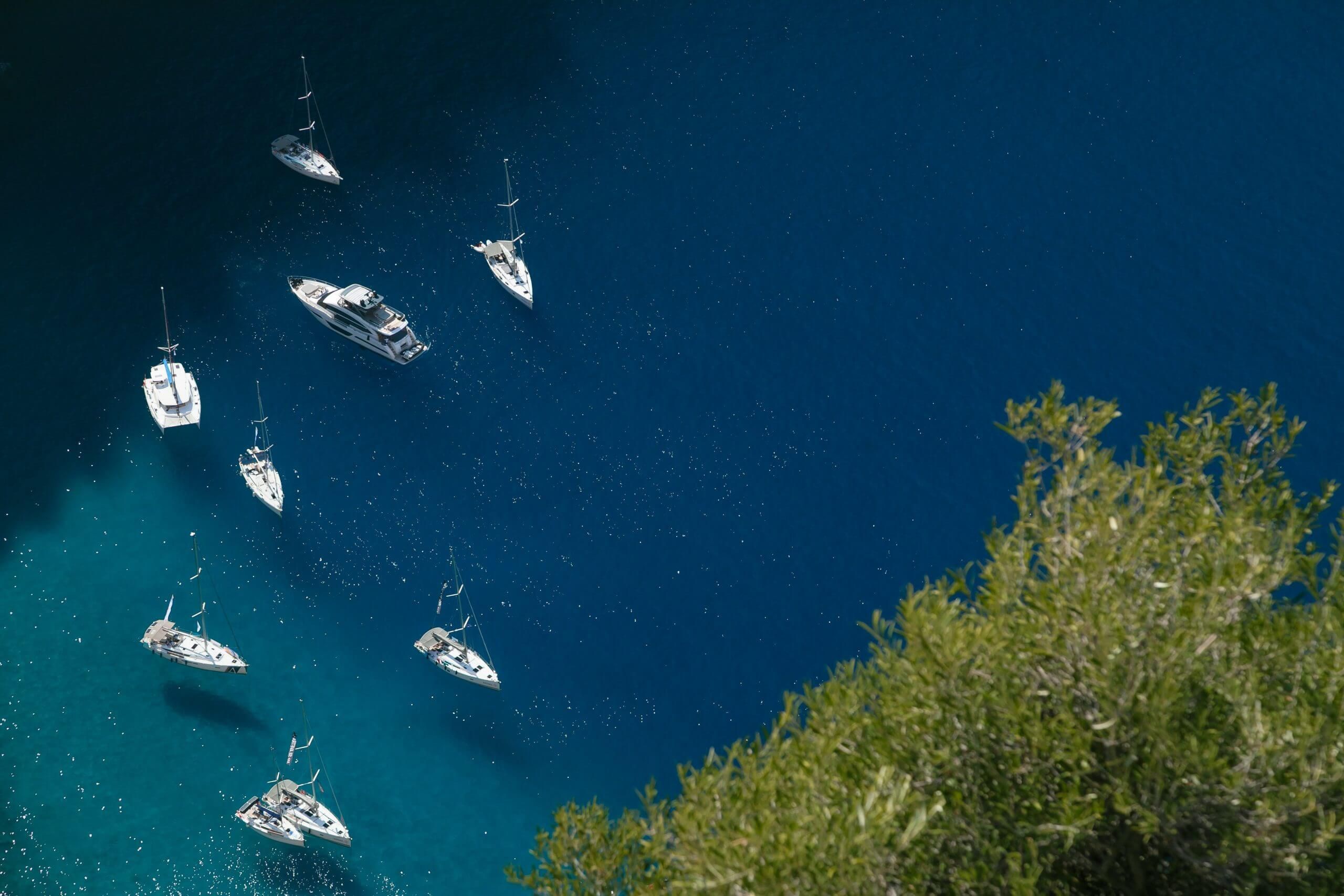 Boats on the ocean with tree in the front